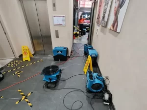 Victoria Hygiene team setting up drying and dehumidification equipment at a water damaged site in Melbourne.