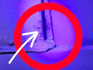 Mould presence detected under infrared light during a thermal inspection of a Melbourne property.