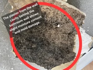 Wall cavity in a Melbourne property showing visible mould growth and high moisture content detected during inspection.