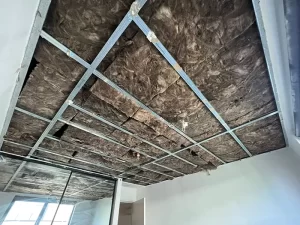 Ceiling inside a Melbourne apartment showing visible signs of water damage and mould growth due to prolonged moisture exposure.