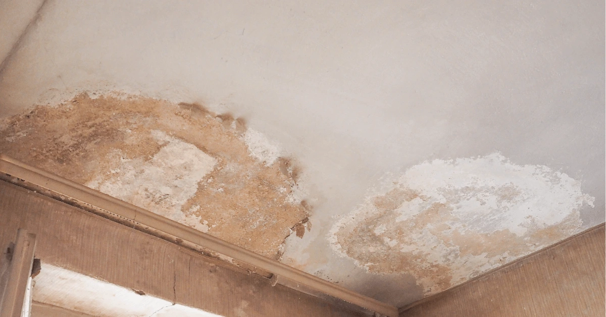 Water Leak Detection