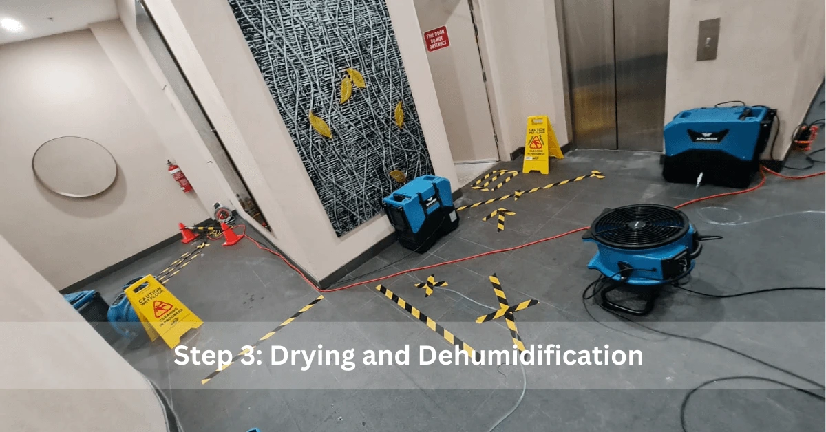 Water Damage Restoration