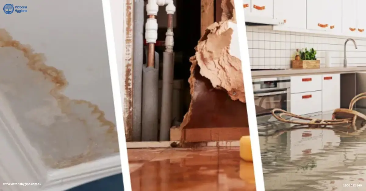 Water Damage