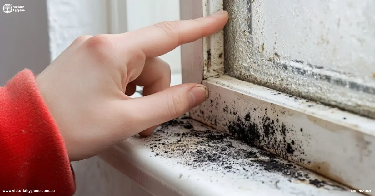 Black Mould Removal