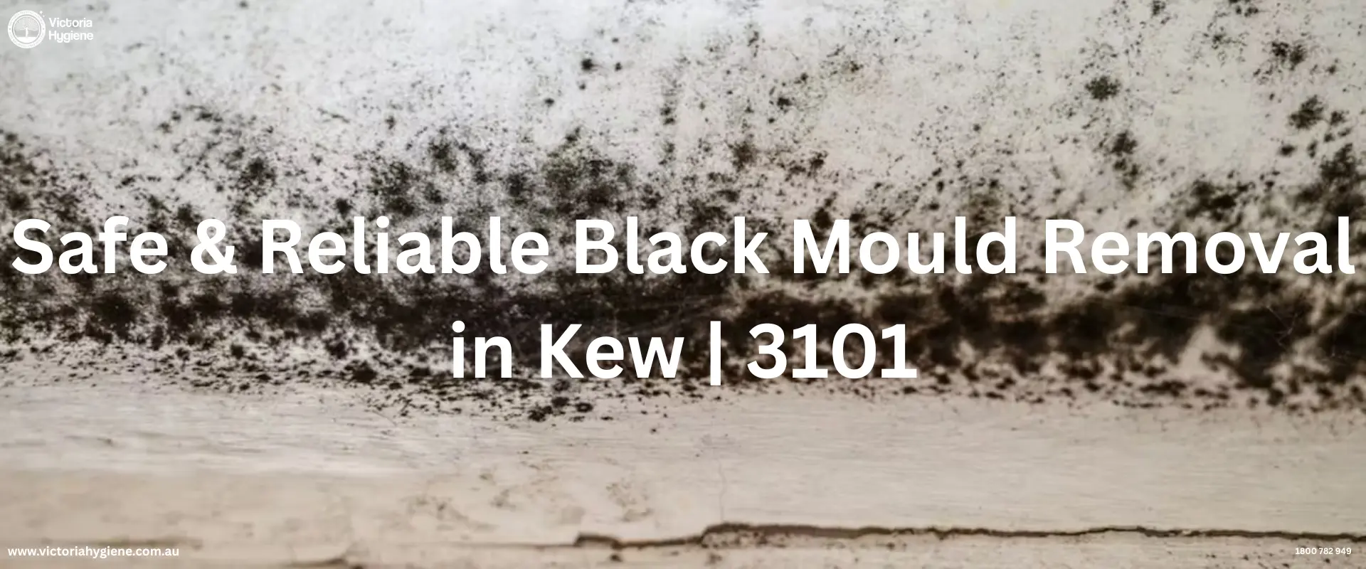 Black Mould Removal
