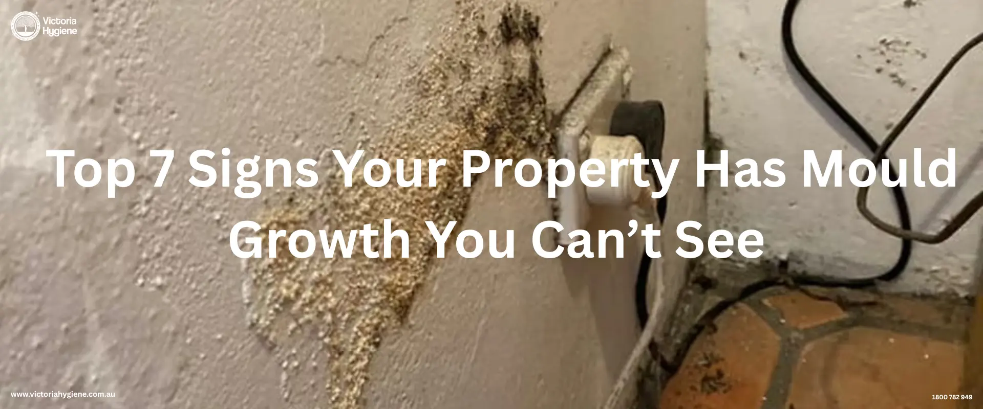 Mould Growth