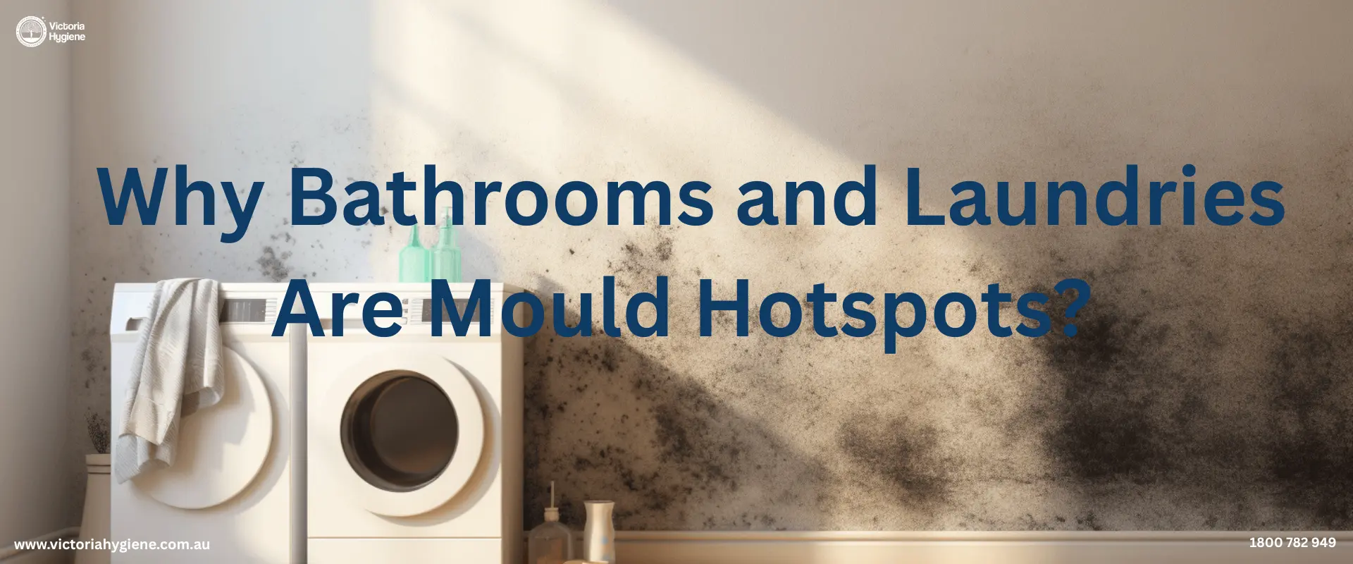 Mould Removal