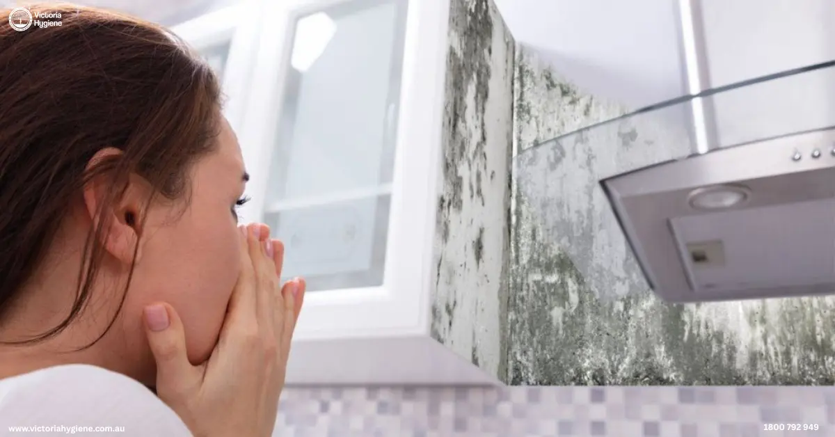 Damp odour