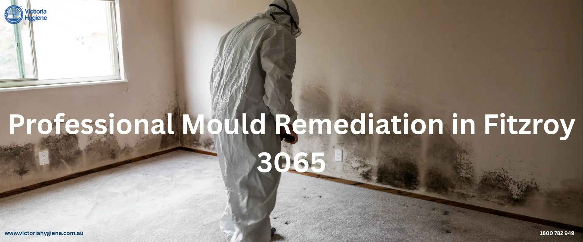 Mould Remediation