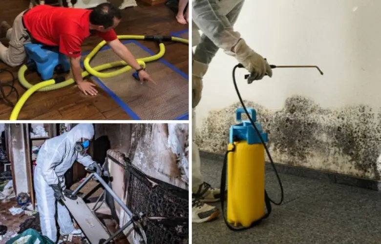 storm flood water damage specialist Footscray