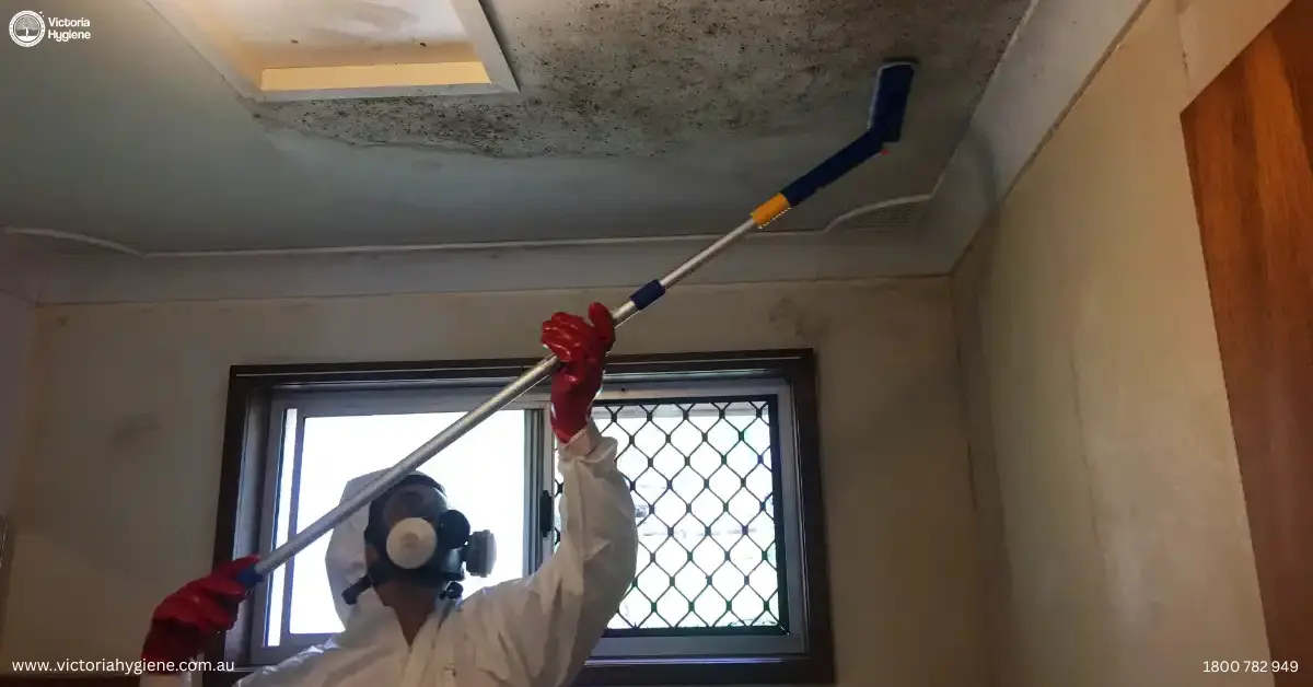 Residential Mould Removal