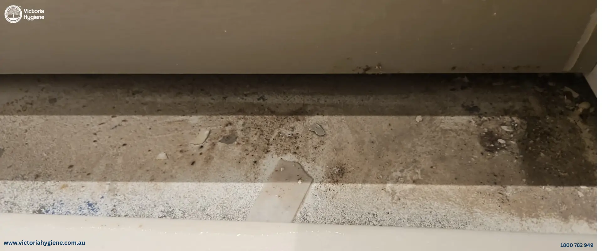 Residential Mould removal Coburg