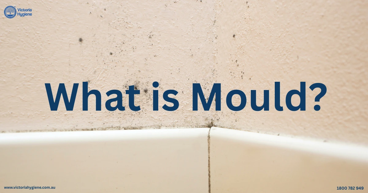 What is Mould?